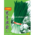2014 New Crop All Varieties Of Chinese Chive Seeds Leek Seeds For Cultivation